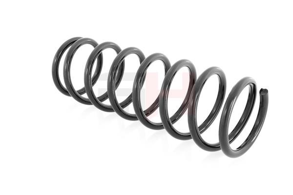 GH222510 GH Suspension Spring