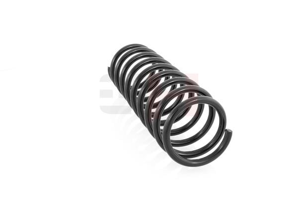 Coil spring suspension Mazda 121: GH222512 GH Suspension Spring