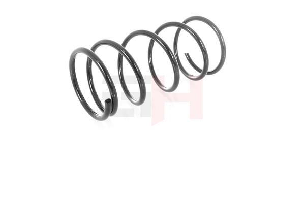 Suspension Spring GH GH-203002