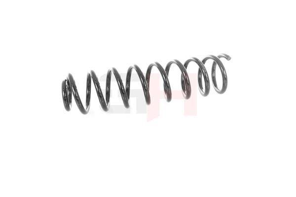 Suspension Spring GH GH-203308