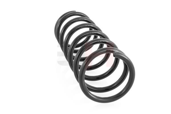 GH222302 GH Suspension Spring