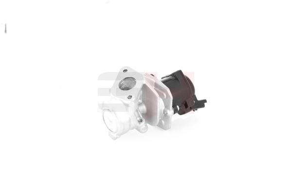 EGR Valve GH GH-732549