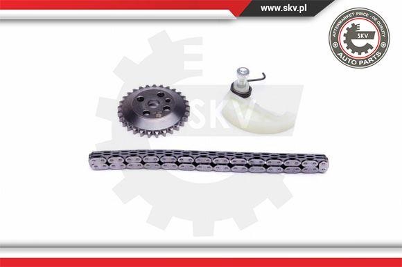 CHAIN OIL PUMP Esen SKV 21SKV109