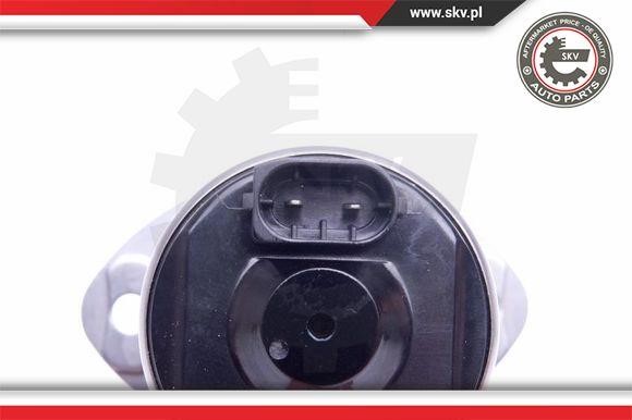 Actuator, exentric shaft (variable valve lift) Esen SKV 96SKV089