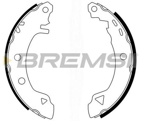 Bremsi GF0418L Brake shoe set GF0418L