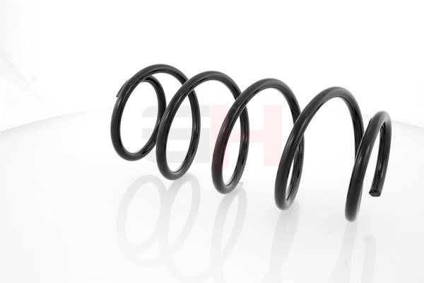 GH202210 GH Front coil spring