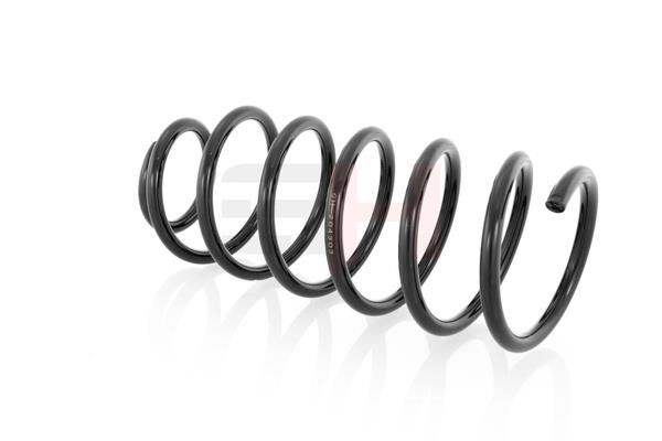 Suspension Spring GH GH-204303