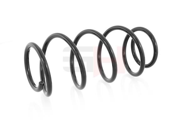 GH203613 GH Suspension Spring