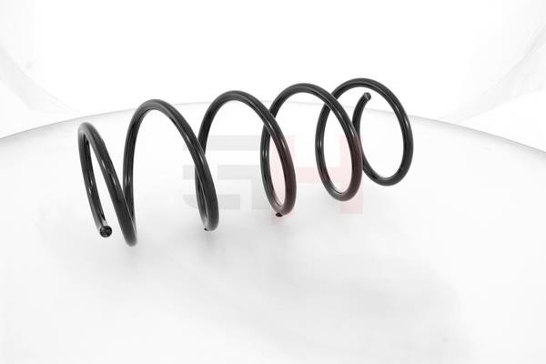 Suspension Spring GH GH-202310