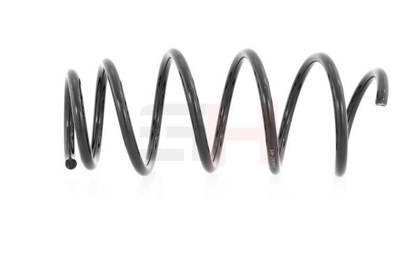 Suspension Spring GH GH-203617