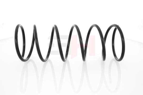 Suspension Spring GH GH-203705