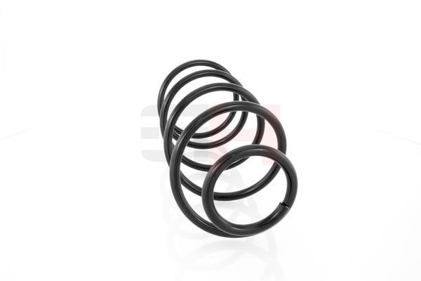 Suspension Spring GH GH-203707