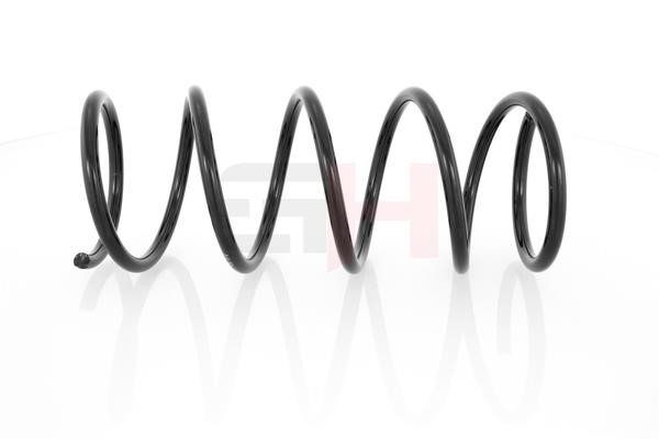 GH GH-202501 Suspension Spring GH202501 GH202501 GH Suspension Spring