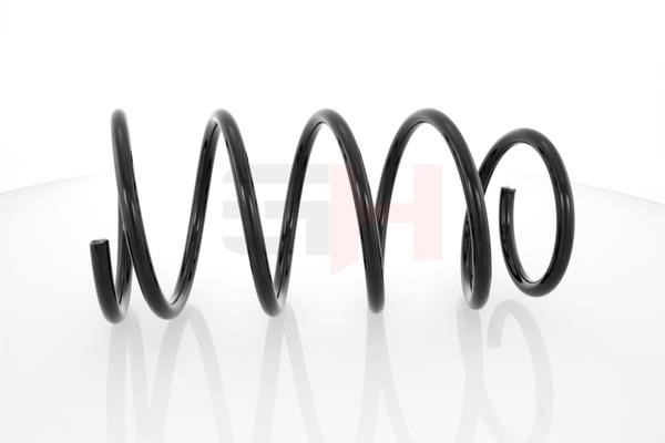 Front coil spring GH GH-203904