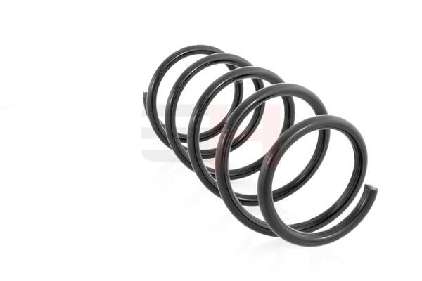 Front coil spring GH GH-203912