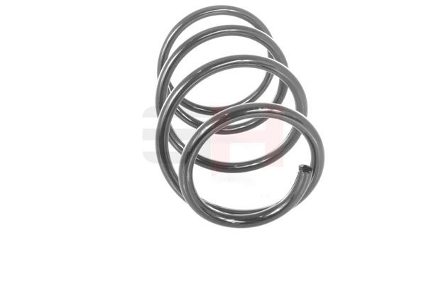 Suspension Spring GH GH-203506