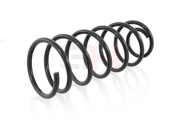 GH GH-204713 Front coil spring GH204713 GH204713 GH Front coil spring