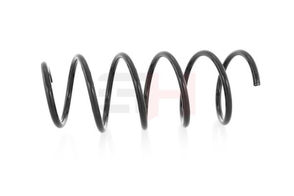 Suspension Spring GH GH-203913