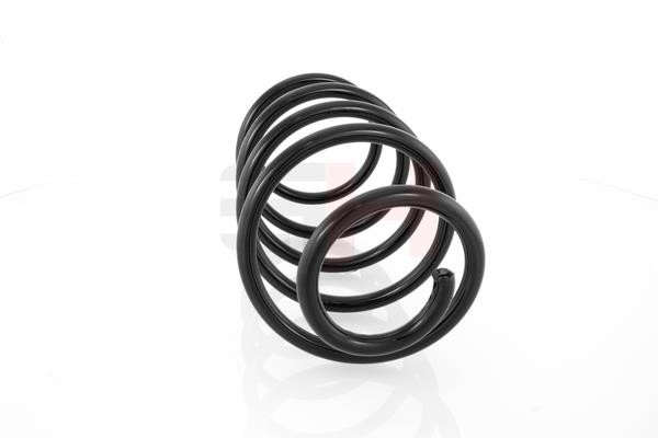Suspension Spring GH GH-204715
