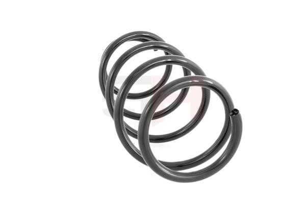 Front coil spring GH GH-203918