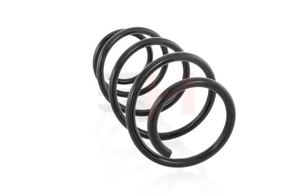 Suspension Spring GH GH-203919