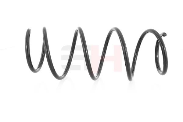 Suspension Spring GH GH-203920
