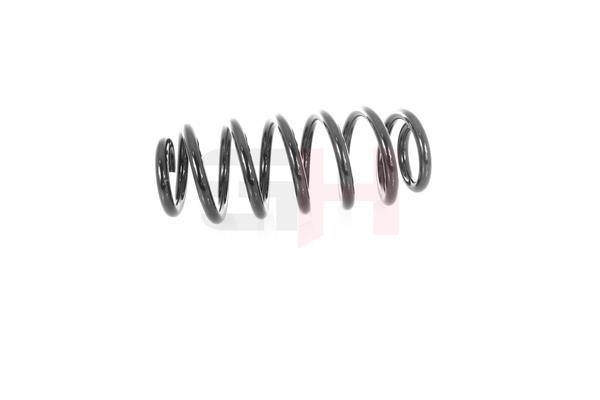 GH GH-204722 Front coil spring GH204722 GH204722 GH Front coil spring