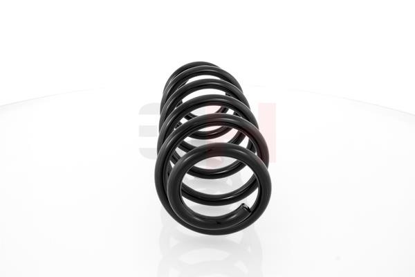Front coil spring GH GH-204799