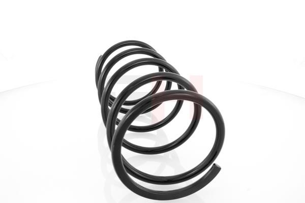 Suspension Spring GH GH-204804