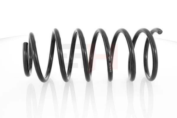 Suspension springs Daewoo: GH205005 GH Front coil spring