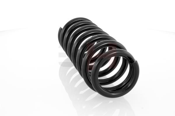GH205202 GH Suspension Spring