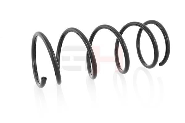 Rear coil spring GH GH-223202