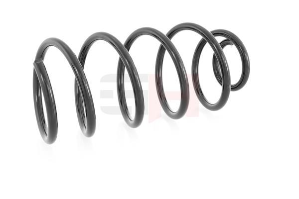 Suspension Spring GH GH-209901