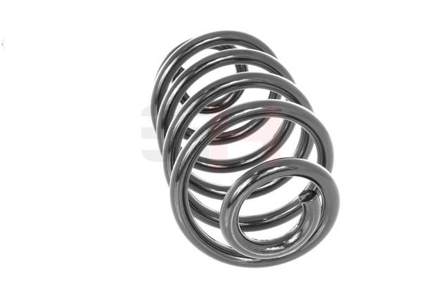 Rear coil spring GH GH-223613