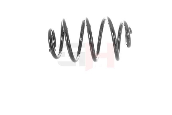 Suspension Spring GH GH-223615