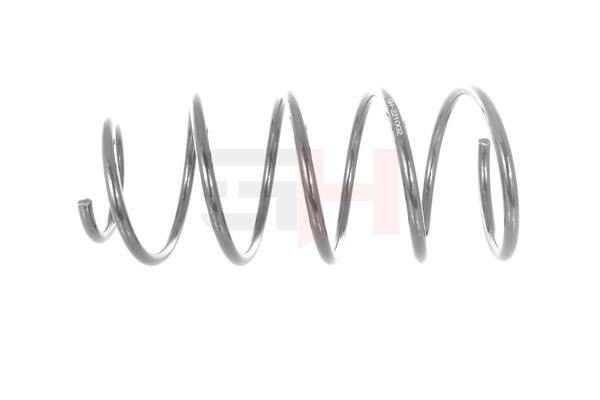 Suspension Spring GH GH-221002