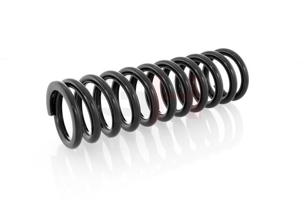 Suspension Spring GH GH-223301