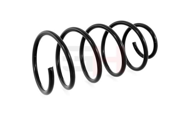 Suspension Spring GH GH-221003