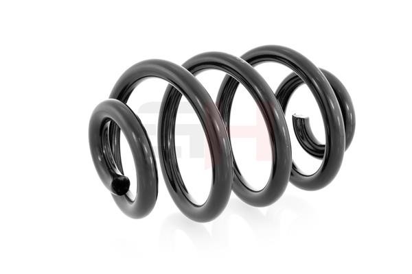 Suspension Spring GH GH-223303