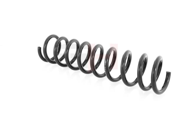 Rear coil spring GH GH-221502