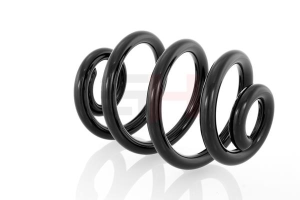 Suspension Spring GH GH-221503