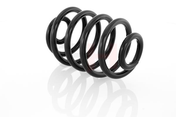 Rear coil spring GH GH-223902