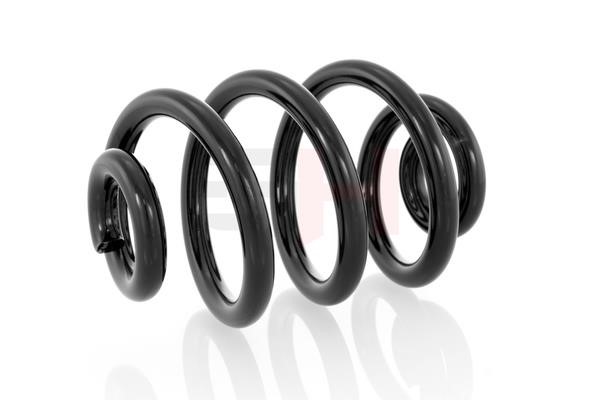 GH221503 GH Suspension Spring