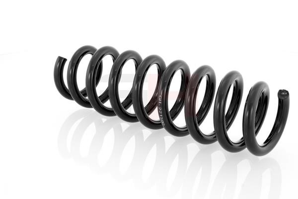 GH GH-221590 Suspension Spring GH221590