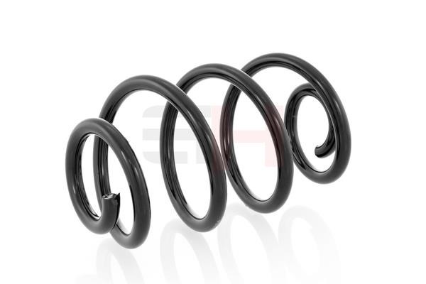 GH222204 GH Suspension Spring