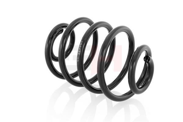 Suspension Spring GH GH-223601