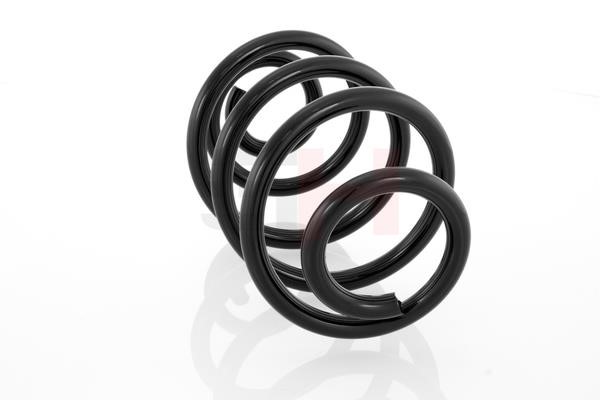 Suspension Spring GH GH-223912