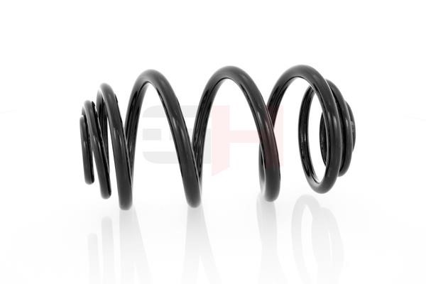 Suspension Spring GH GH-223920