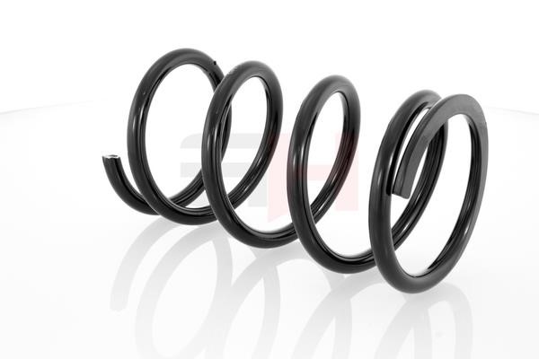 Suspension Spring GH GH-224507