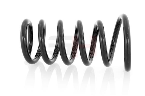 Suspension Spring GH GH-224890